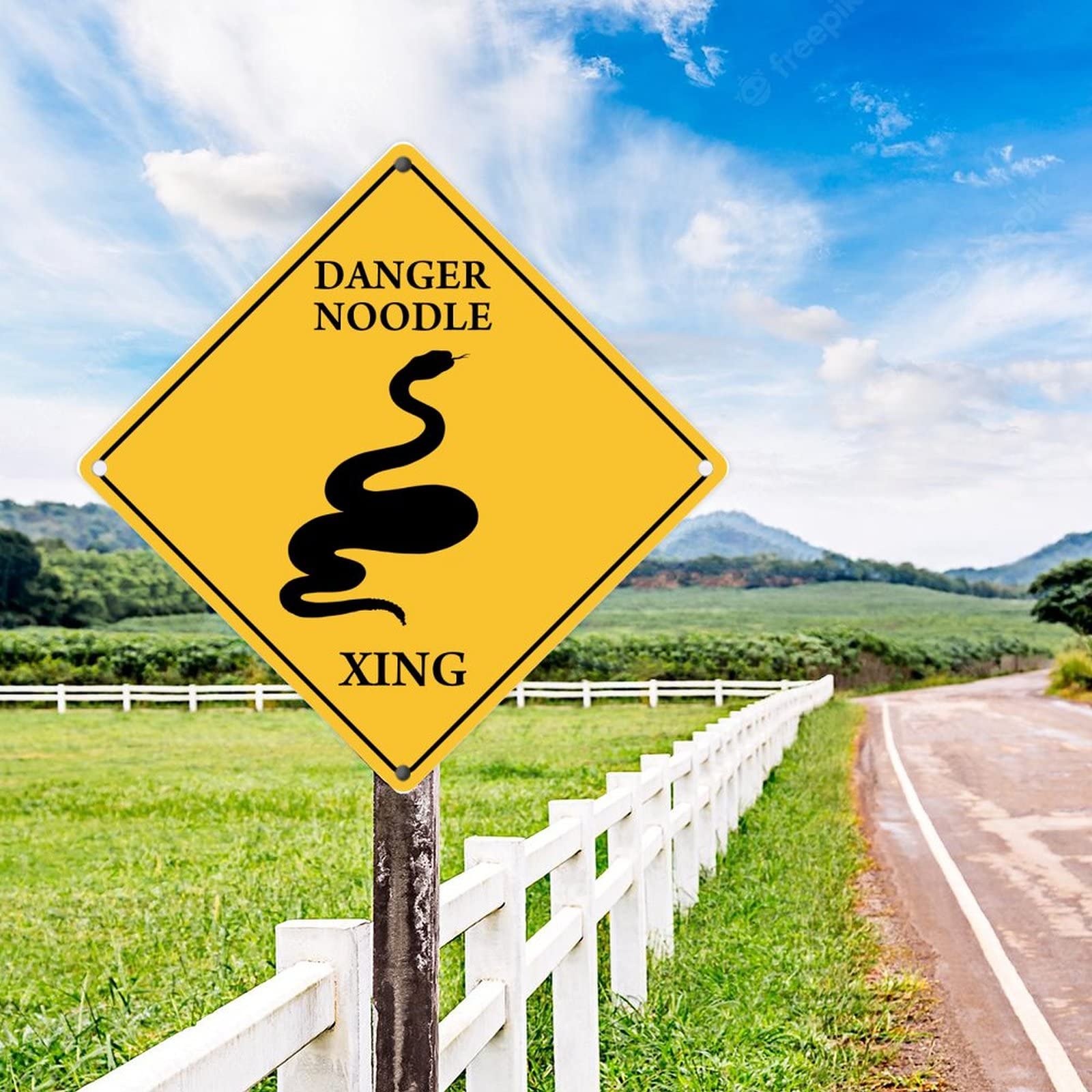 Amazon.com: Caution Danger Noodle Wall Decor Metal Sign Funny
